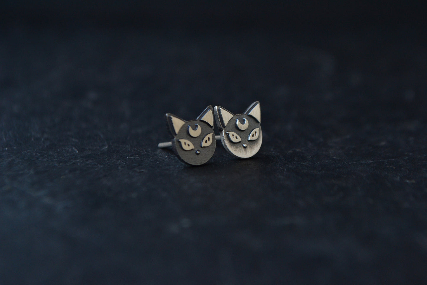 Sabrina Salem Cat Earrings The Teenage Witch Black Cat Crescent Moon Witchcraft Gothic Jewelry